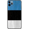 Estonia Flag Distressed iPhone 11 Pro Max Skin